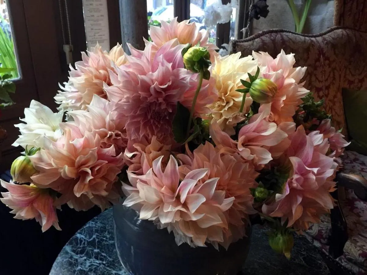 פריז Boutique Hotel De La Place Des Vosges
