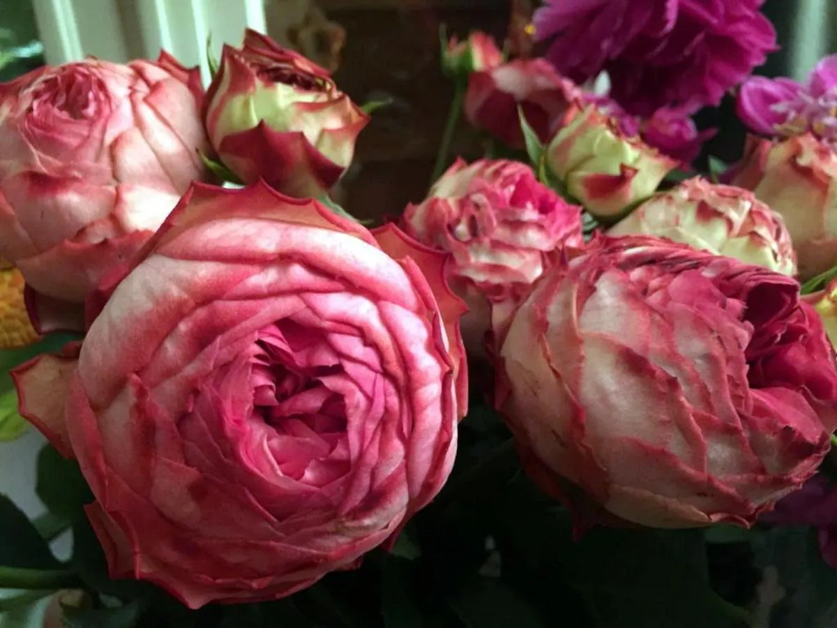 פריז Boutique Hotel De La Place Des Vosges