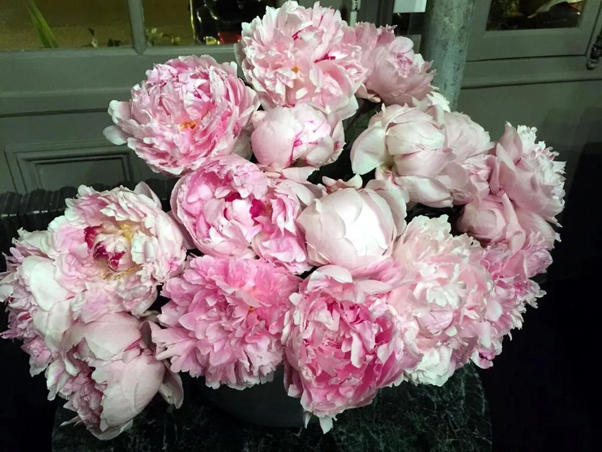 ***  פריז Boutique Hotel De La Place Des Vosges צרפת