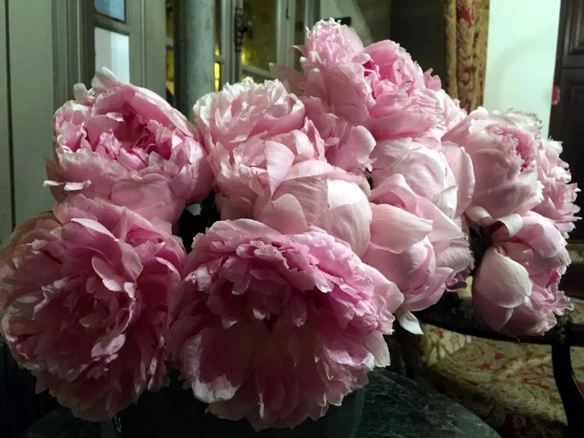 פריז Boutique Hotel De La Place Des Vosges